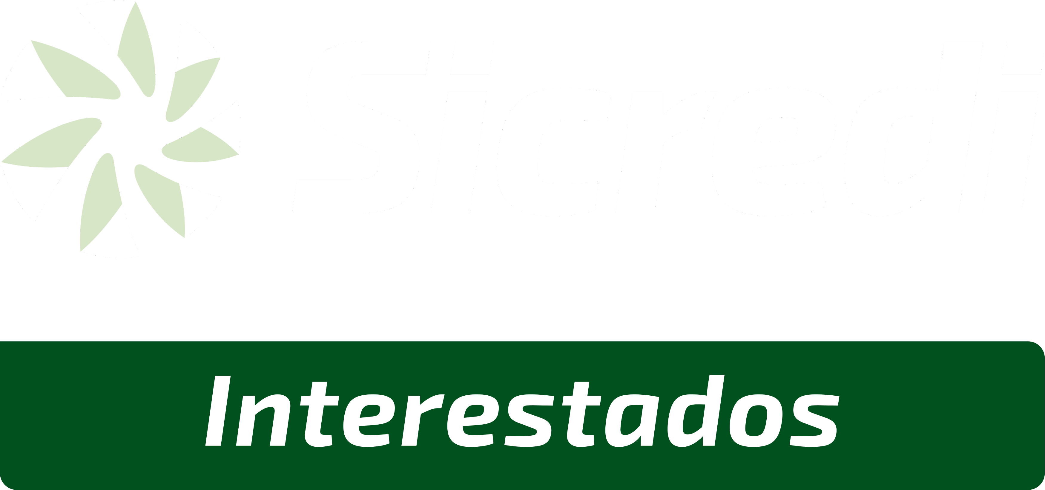 Cliente 11